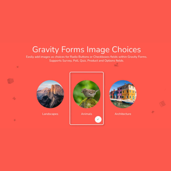 jetsloth gravity forms image choices