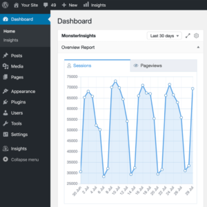 Analytics WP
